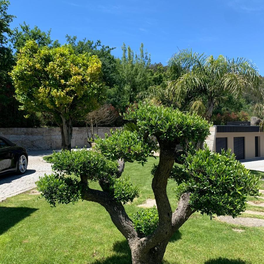 Quinta De Santa Ana, Em Vizela Leilighet Infias Eksteriør bilde