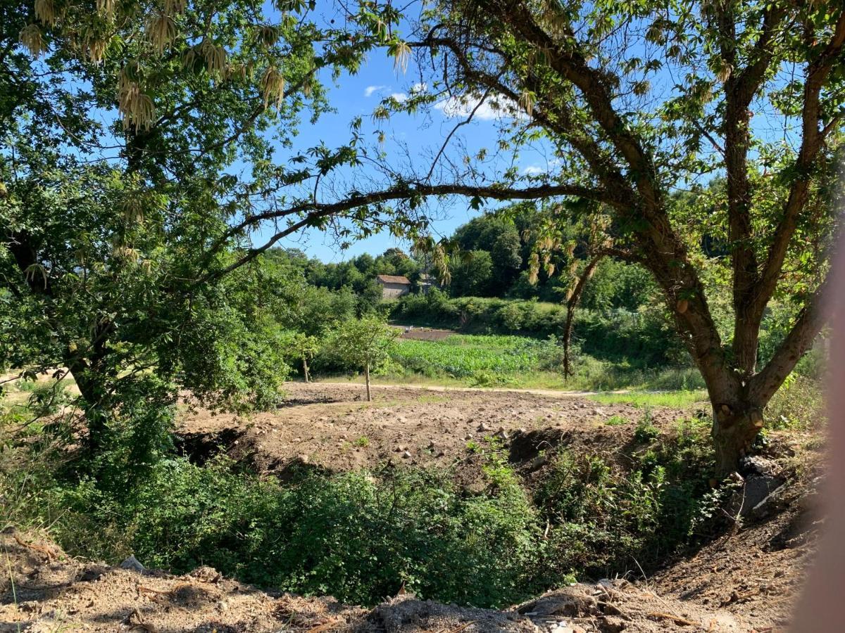 Quinta De Santa Ana, Em Vizela Leilighet Infias Eksteriør bilde